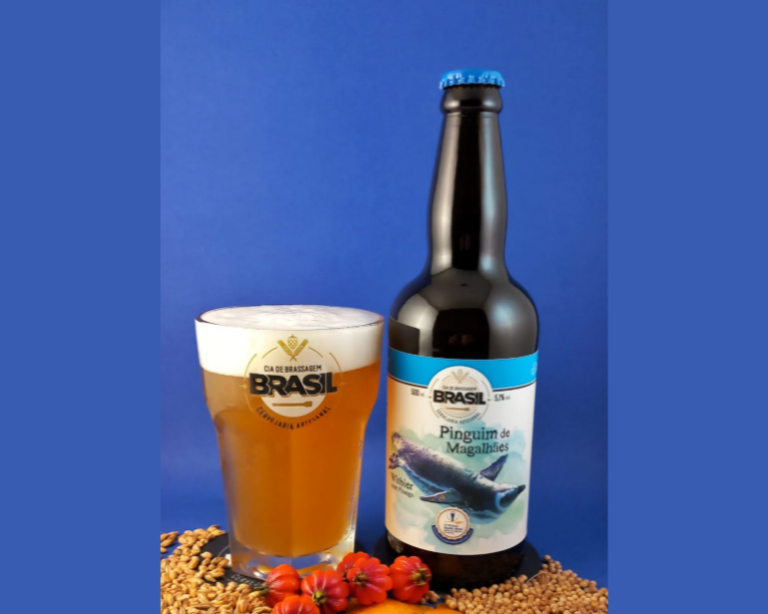 Pinguim-de-Magalhães ganha cerveja na luta pela preservação