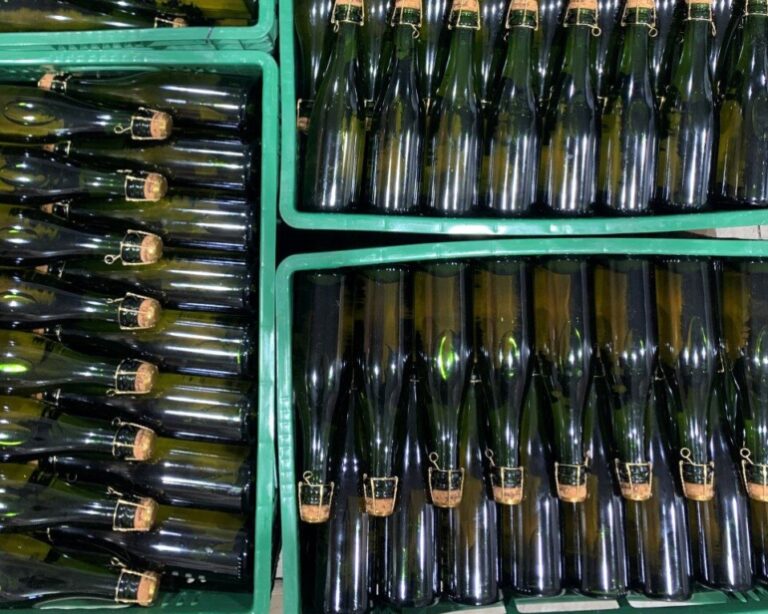 Menu Degustação: Semana Selvagem, votação do Fermenta, IPA Day em SC…