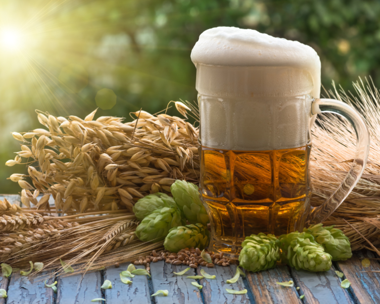 Mudança climática pode afetar cevada e lúpulo; entenda impacto na cerveja