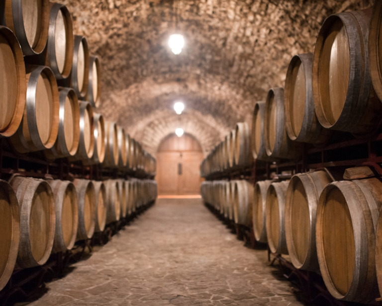 Balcão da Fabiana: Lições que aprendemos aqui e ali