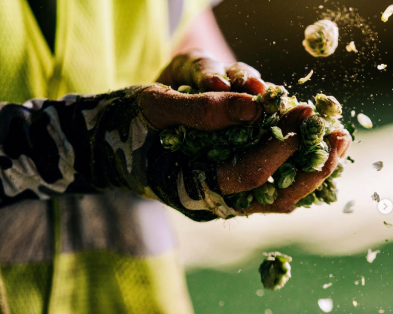 Menu Degustação: Tábuas vence concurso e fará cerveja com lúpulo dos EUA