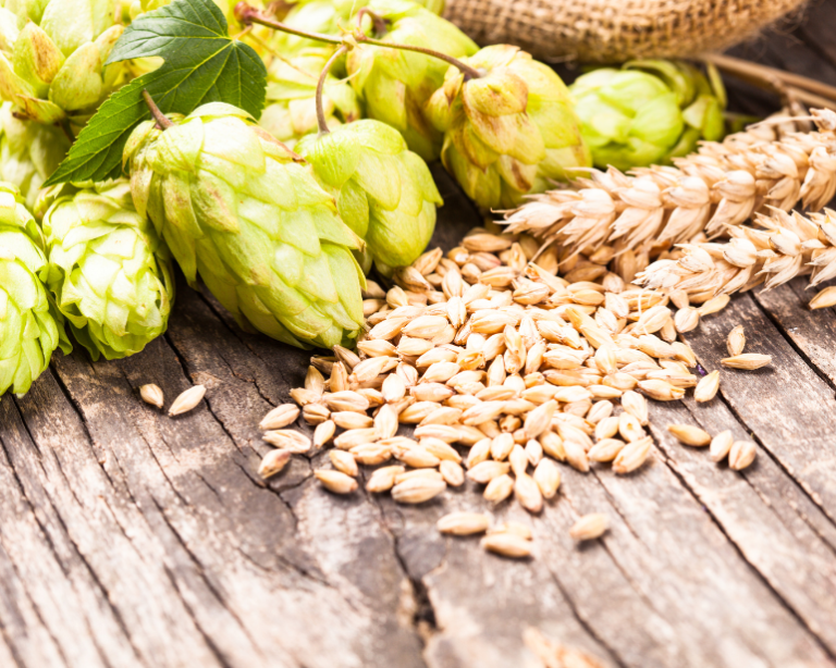 Diversificar fornecedores é maior saída das cervejarias para ter acesso a insumos