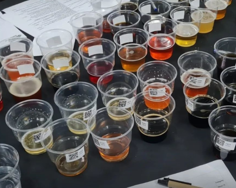 Unika é melhor brasileira da South Beer Cup 2024; veja quem levou ouro