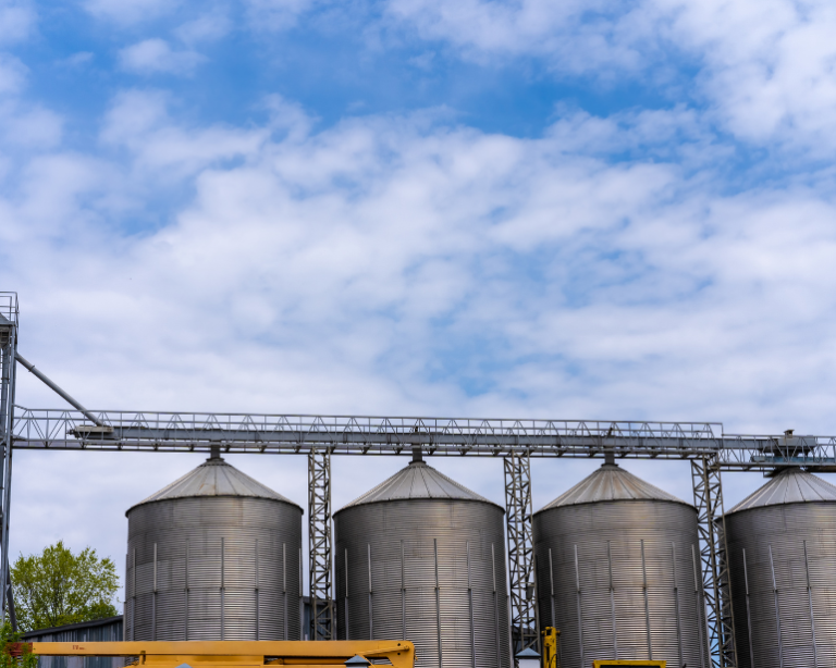 Produção de bebidas alcoólicas cresce 10,6% e amplia tendência de alta