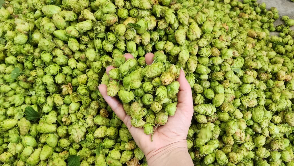 Unidade de beneficiamento também foi entregue durante o evento (Crédito: Bia Amorim)