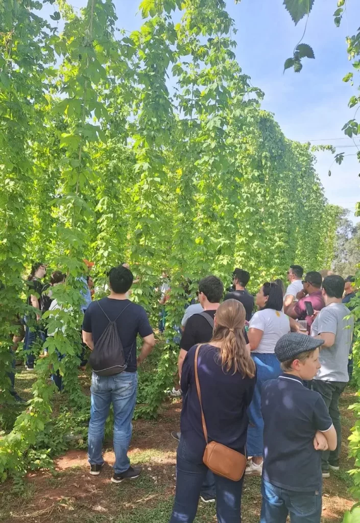 Lançamento da CPL do Lúpulo ocorreu durante a 3ª Festa da Colheita de Lúpulo em Araraquara (Crédito: Luciana Andreia Pereira / Divulgação / Lúpulo Guarani)