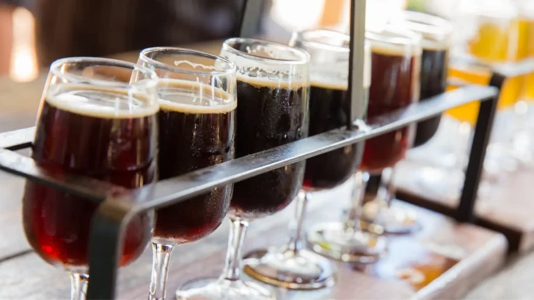 Pesquisas sobre cerveja na universidade produzem inovação e conhecimento