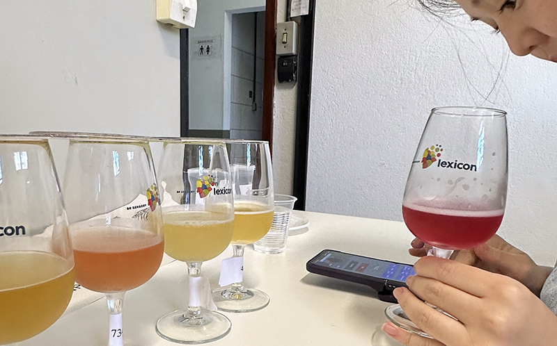 Pesquisas sobre cerveja: Amanda Reitenbach liderou um grupo que desenvolveu uma nova roda sensorial para bebidas lupuladas na UFSC (Divulgação/UFSC)