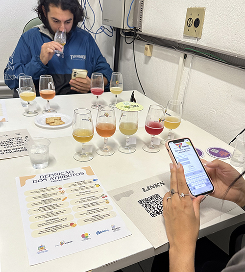 Projeto desenvolvido na UFSC resultou na primeira marca registrada em cotitularidade entre UFSC, UnB e a Cervejaria Kairós (Divulgação/UFSC)