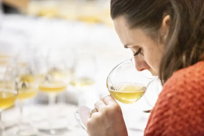 Brasil ganhou 20 prêmios no Brussels Beer Challenge 2025 (Crédito: Bart Van der Perre / Brussels Beer Challenge)