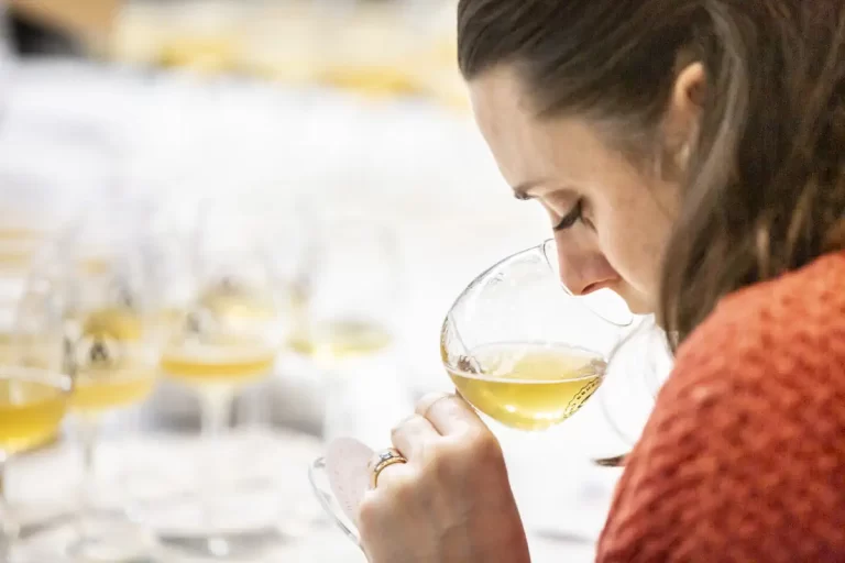 Brussels Beer Challenge 2025 premia 19 cervejas brasileiras