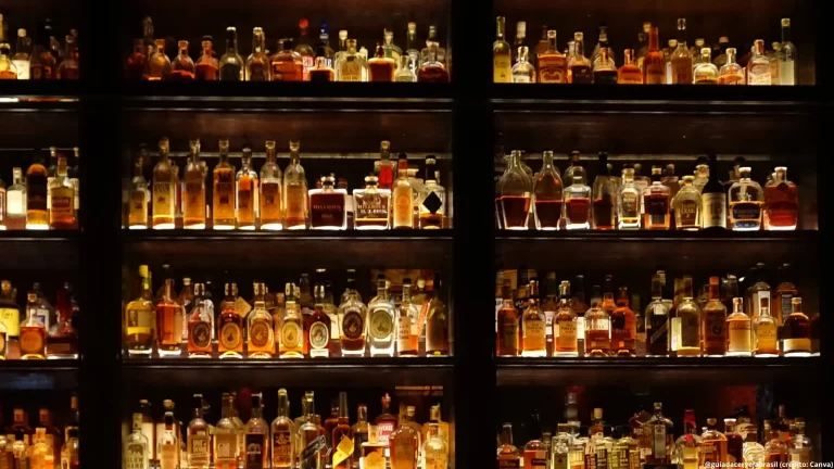 Consumo abusivo de álcool cai em 2025, segundo pesquisa do Cisa