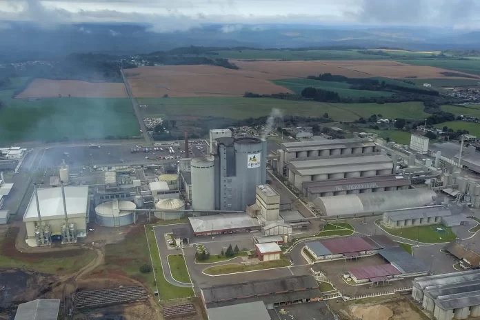 Cooperativa Agrária vai investir 1,1 bilhão de reais para produzir maltes especiais em Guarapuava, no Paraná (Crédito: José Fernando Ogura / Agência Estadual de Notícias do Paraná)