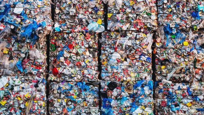 População brasileira demonstra alta consciência ambiental (Crédito: Canva.com)