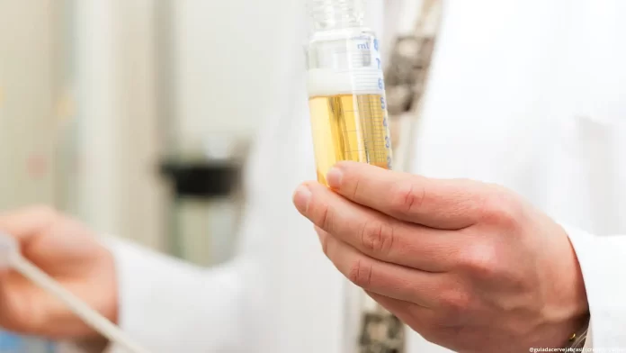 Primeiro estilo brasileiro, Catharina Sour virou tema de artigo científico em revista internacional (Crédito: Canva.com)