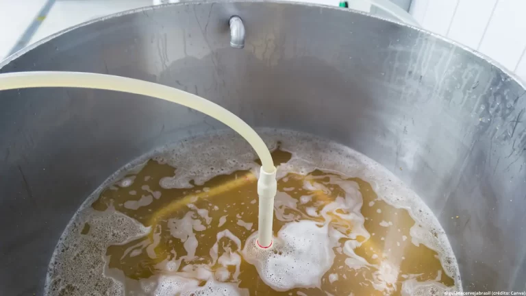 Produtor de cerveja caseira no Brasil é mais engenheiro do que artista, revela pesquisa