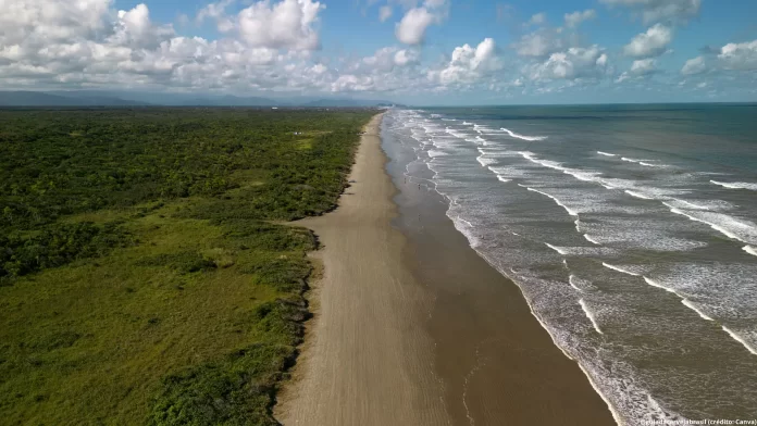 Corrida Cervejeira Pé na Areia acontece em março em Peruíbe (Crédito: Canva.com)