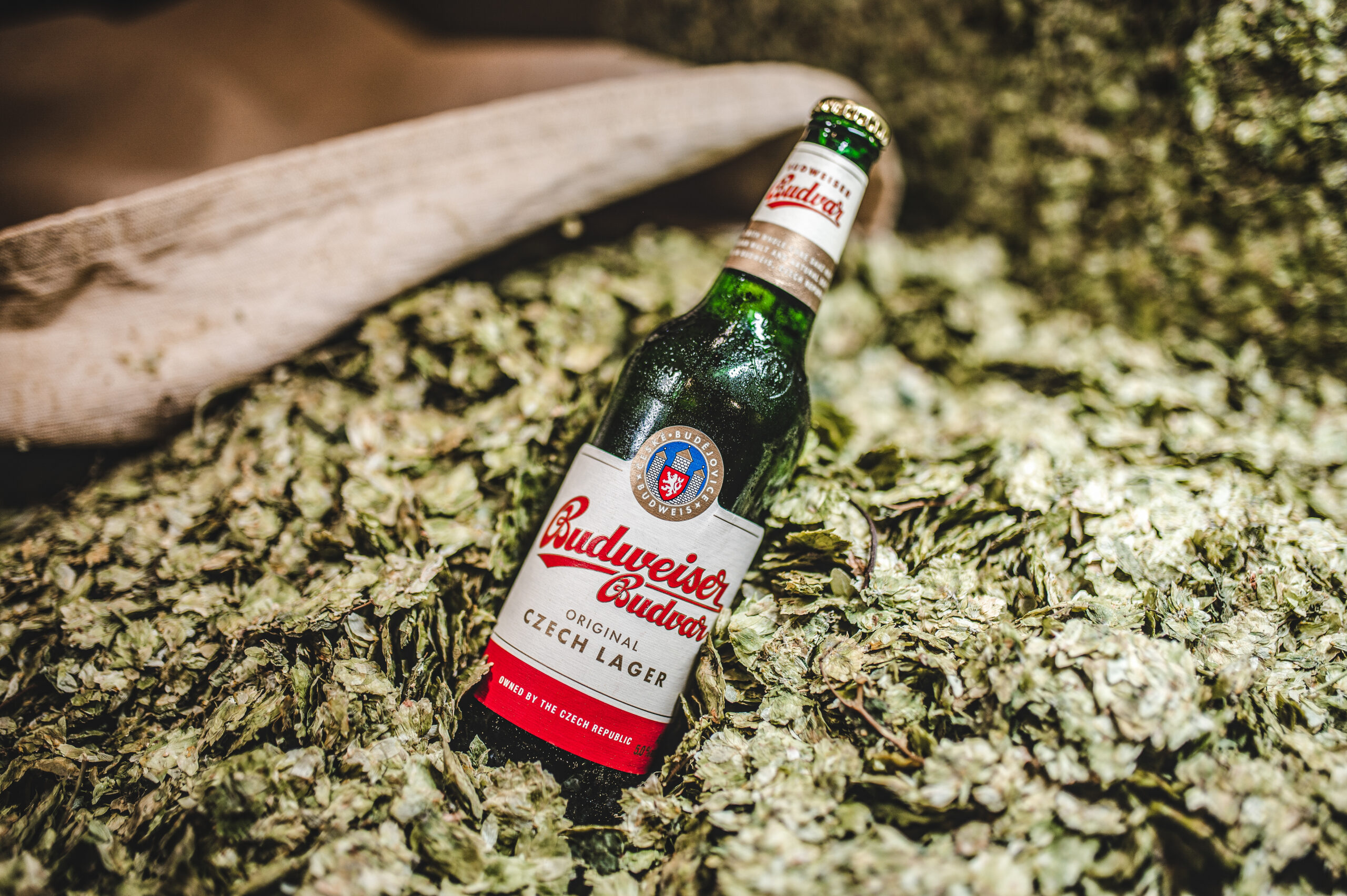 Budweiser Budvar é uma marca tradicional da República Checa (Crédito: Divulgação)