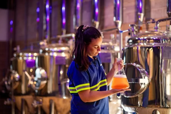 Curso da Academia da Cerveja serve para capacitar iniciantes que desejam atuar na produção, gastronomia ou gestão de estabelecimentos (Crédito: Divulgação)