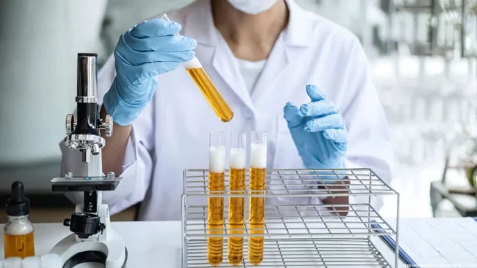 Aditivos na cerveja não são necessariamente vilões; é preciso entender o que são e para que estão lá, conta a colunista Chiara Barros (Crédito: Canva.com / Imagem editada com IA)