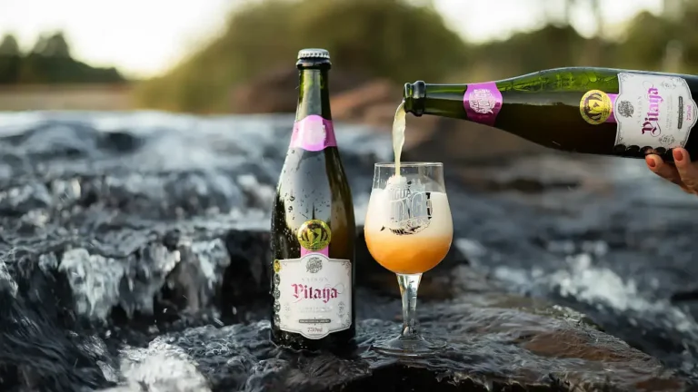 Cervejas Artesanais de Guarapuava: cidade conquista Indicação Geográfica inédita no Brasil